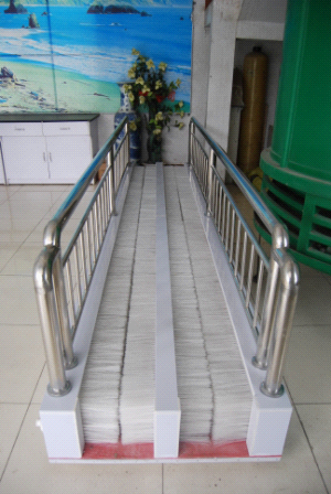 全自動礦用洗鞋機